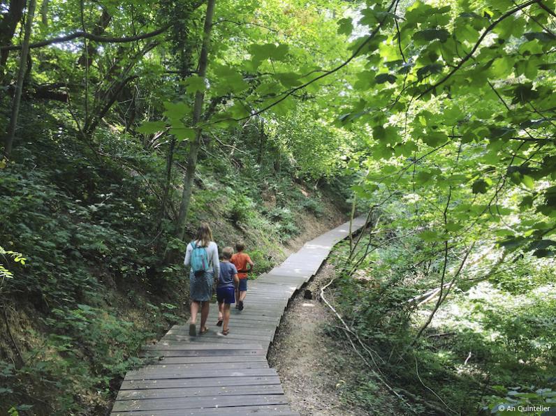 Dilbeek / Facelift natuurgebied Wolfsputten