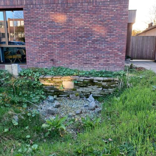Biodiverse voortuin met wadi in Deurne © Jan Vilain