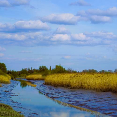 Een natuurlijke structuur verhoogt het zelfzuiverend vermogen en de waterkwaliteit van waterlopen © Jan Van Bizar / Pixabay