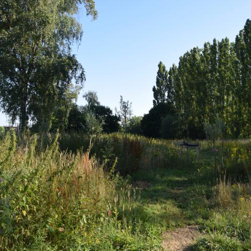 Antwerpen - Park Groot Schijn