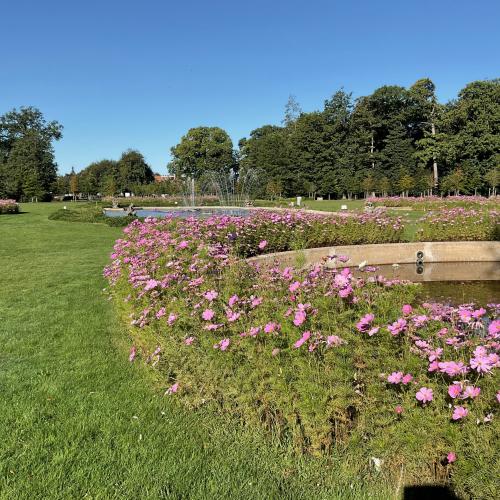 Brasschaat - Rozentuin