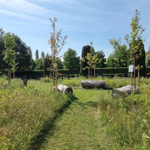 Schilde - Natuurlijke begraafplek