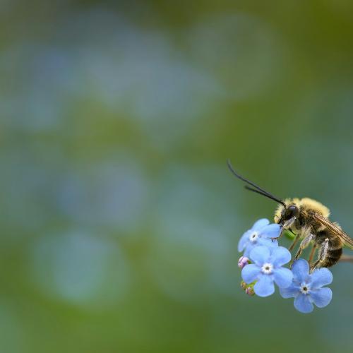 © Wolfgang Hasselman / Unsplash