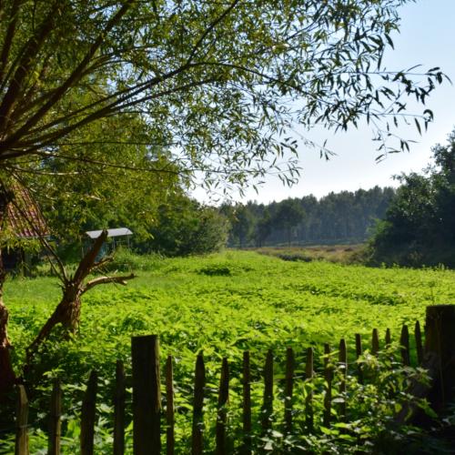Vallei van de Zwarte Beek © Anse Kinnaer / Onroerend Erfgoed / Wikimedia Commons