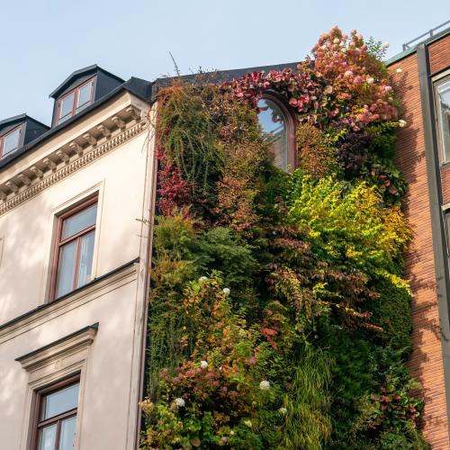 Illustratiebeeld klimaatwijken © Javier Bosch / Unsplash