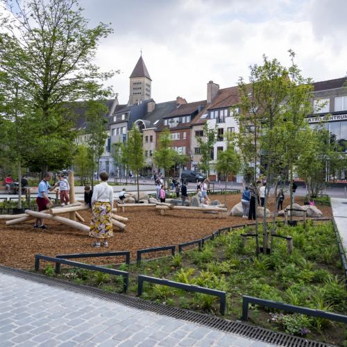 Stadsbos op de Grote Markt in Genk foto 2 © Stad Genk 