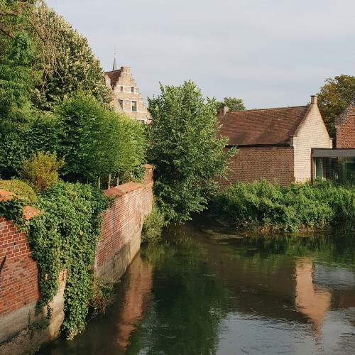 De Dijle in Leuven © Vasily Malygin / Unsplash