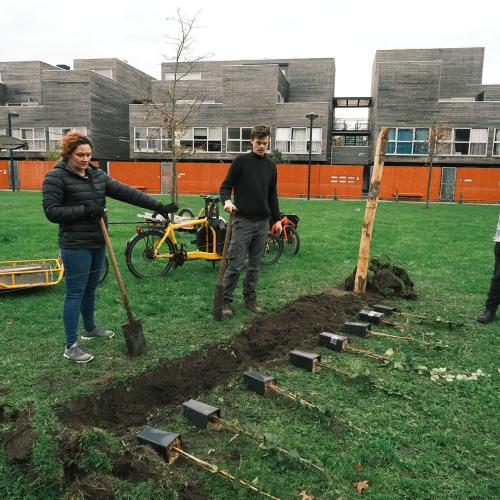 De aanplanting van fruitbomen in Gent. © Fruitstraat.be