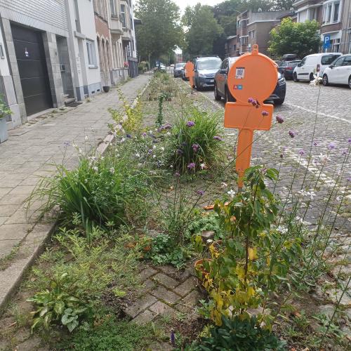 Bij de herinrichting van straten is het opgeven van parkeerplaatsen een gevoelig thema. © Jan Vilain [ruimtereporter]