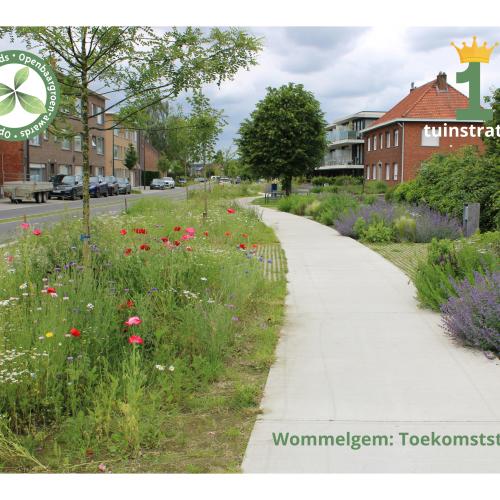 Wommelgem - Toekomststraat © VVOG