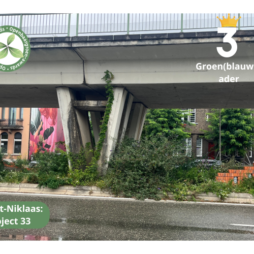Sint-Niklaas - Project 33 © VVOG