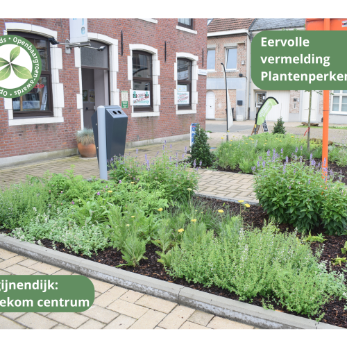 Begijnendijk - Vergroening Betekom centrum © VVOG