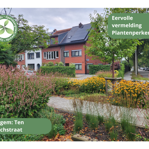 Edegem - Voetpadvernieuwing Ten Boschstraat © VVOG