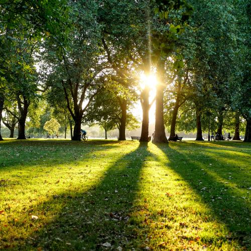 Hyde Park, Londen © V2F Unsplash