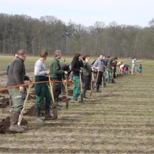 De bosaanplanting in het Vloethemveld, maart 2010. © FORBIO