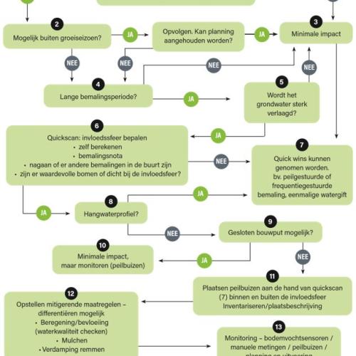 Stroomschema bronbemaling © Bomen Beter Beheren