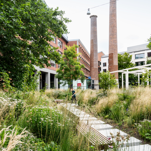 De vernieuwde daktuinen van stadskantoor Den Bell © OMGEVING-LUCID
