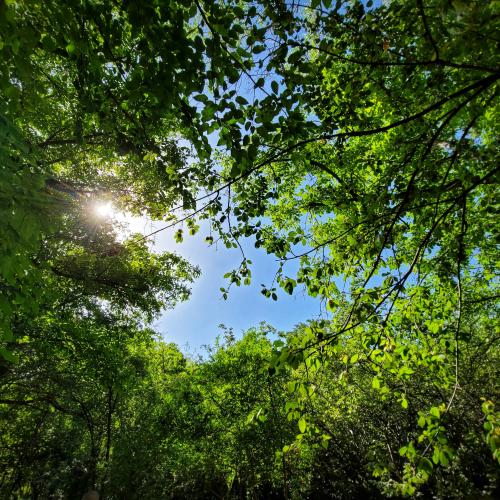 Illustratiebeeld © Ibrahim Ahmed / Unsplash