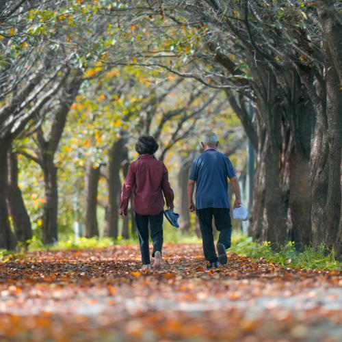 Illustratiebeeld © Kim Dar Jeung / Unsplash