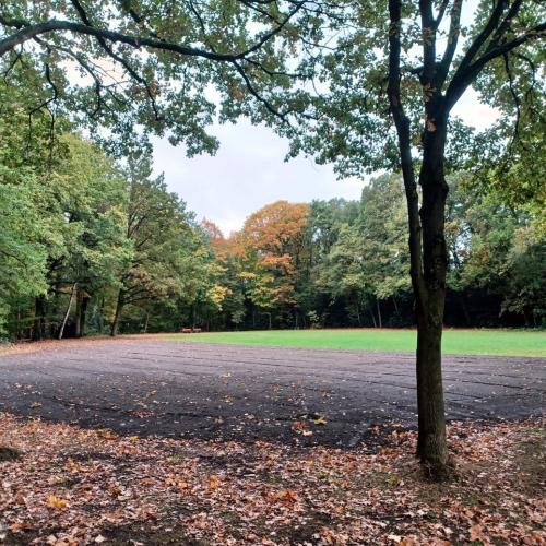 De ingreep kadert in het natuur- en erfgoedbeheerplan voor Zellaer en sluit tegelijk aan bij een grote maatschappelijke uitdaging: ontharden. © Stichting Kempens Landschap