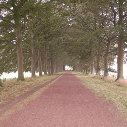 Park Kasteel van Bovelingen (illustratiebeeld) © Beeldbank Agentschap Onroerend Erfgoed