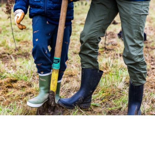 Illustratiebeeld © Gert Arijs