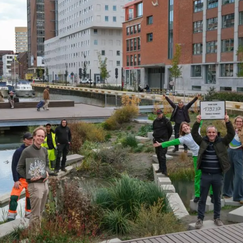 Tegelwippers in actie © Departement Omgeving