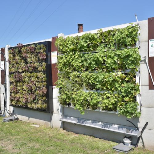 Groene gevels / Bouwstenen voor klimaatadaptieve steden