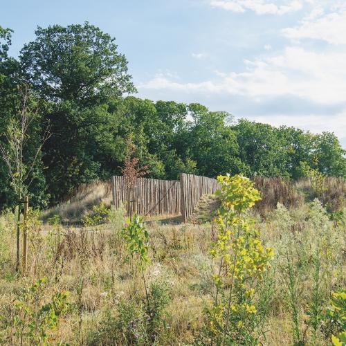 Menapiërspark Nieuwkerken-Waas in Sint-Niklaas