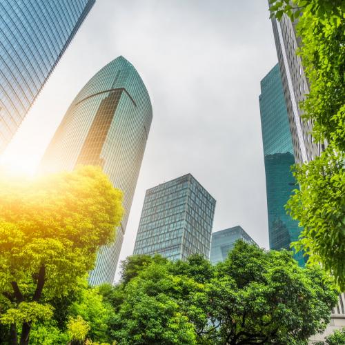 Bomen als bouwstenen voor de stad van de toekomst