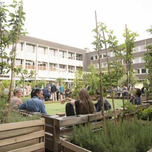 Pop-up tuin in Genk