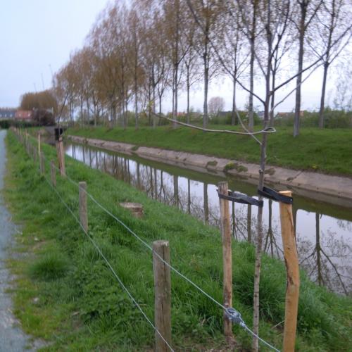 Dijk Hoge Landen in Beveren