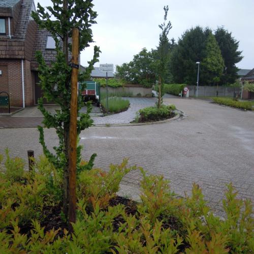 Woonwijk Akkerrode in Laakdal