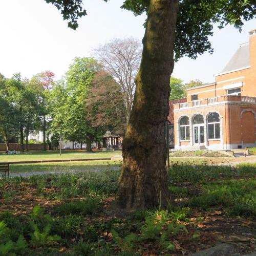 Park Gravenhof in Antwerpen-Hoboken