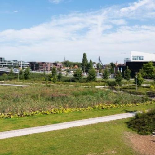 Kortrijk Weide vertegenwoordigt België op de European Green Cities Award 2021