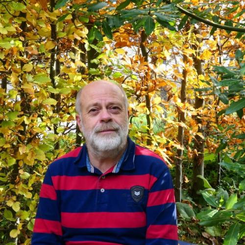 Geef bomen in onze steden toekomstkansen