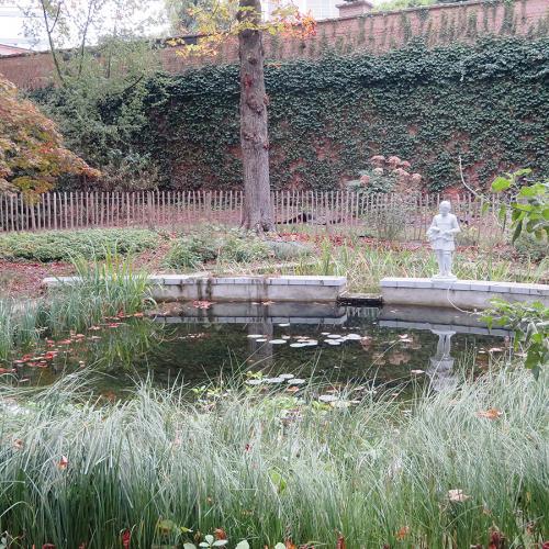 Tuin Dekenij in Boom