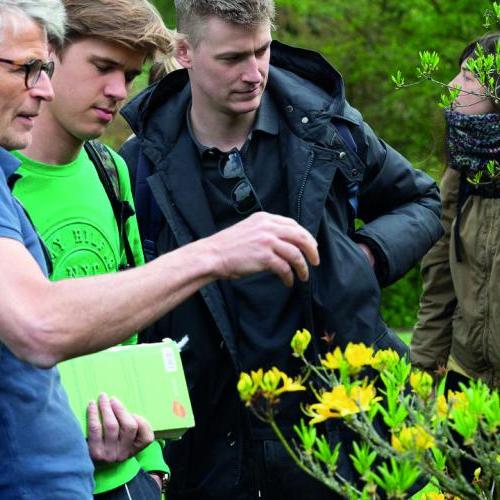 Opleiding ‘Duurzaam ontwerpen met planten en groenvormen’