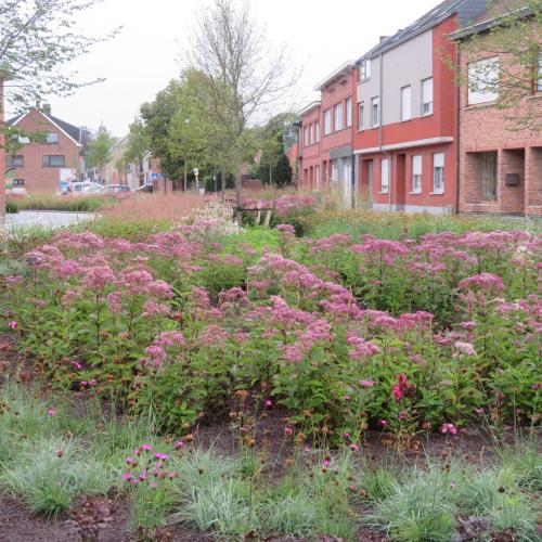 Gemeenteplein Rijmenam in Bonheiden