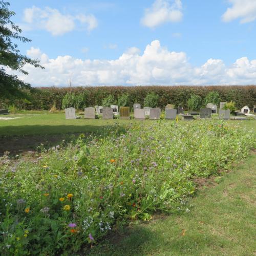 Begraafplaats Schuiferskapelle in Tielt
