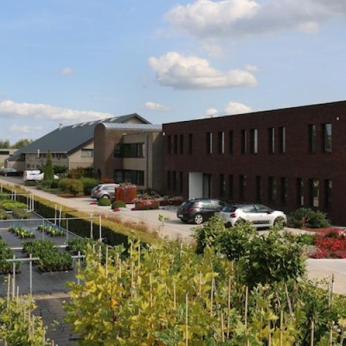 Stedelijke groenvoorziening: Sectorbevraging voor tuinaannemers