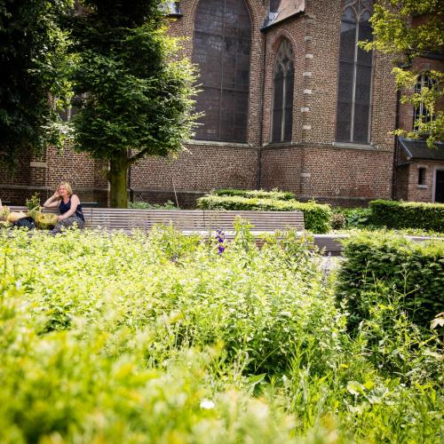 Tuin Grote Markt in Turnhout