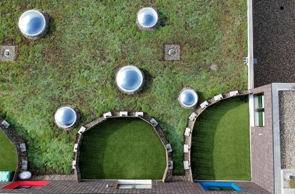 Extensief groendak school in Oekene