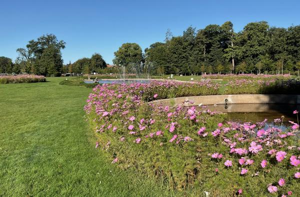 Brasschaat - Rozentuin