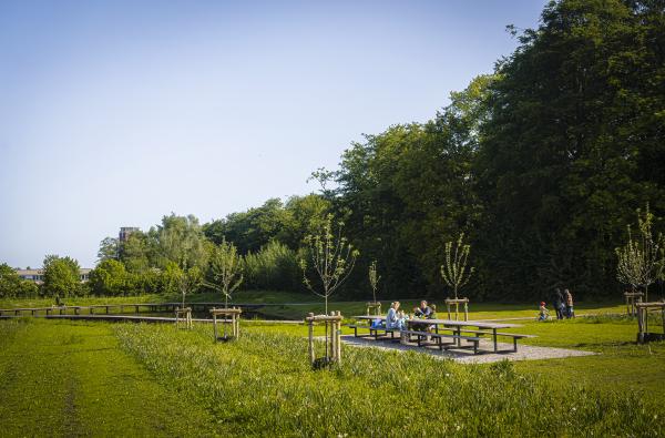 Brugge - Park Steevens