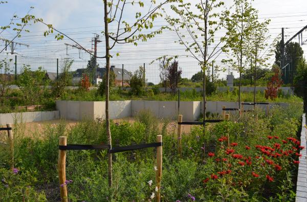 Denderleeuw - Heraanleg spoorwegberm Guido Gezellestraat