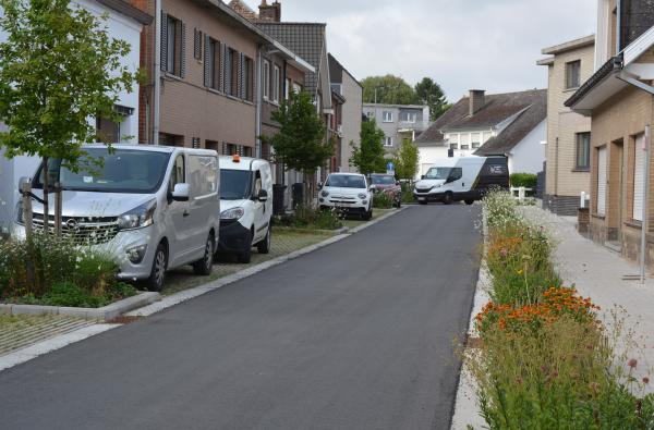 Denderleeuw - Polderstraat