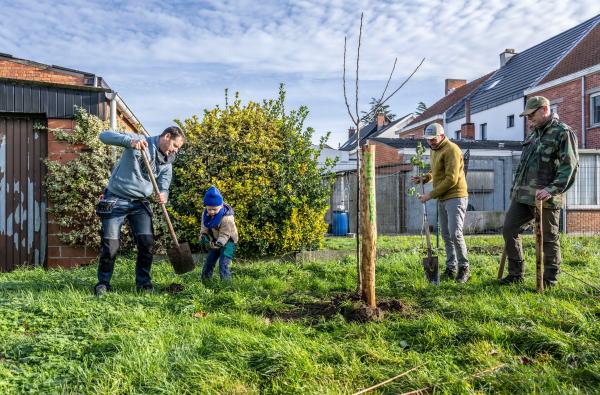 Dendermonde - Fruit je stad