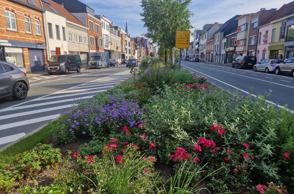 Eeklo - Vergroening N9