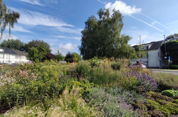 Gent - Boeketje Sint-Denijs-Westrem